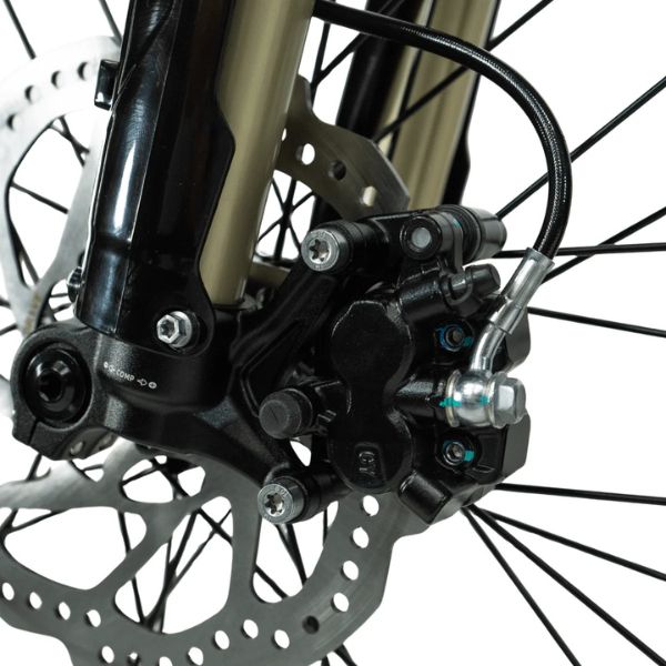 Arctic Leopard XE Pro R - Image 6